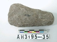 藏品(中型舌刃打製石斧)的圖片